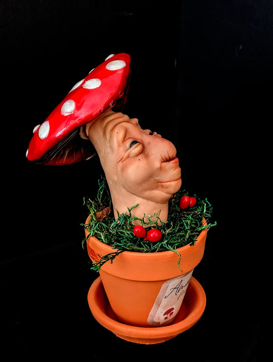 Amanita Muscaria