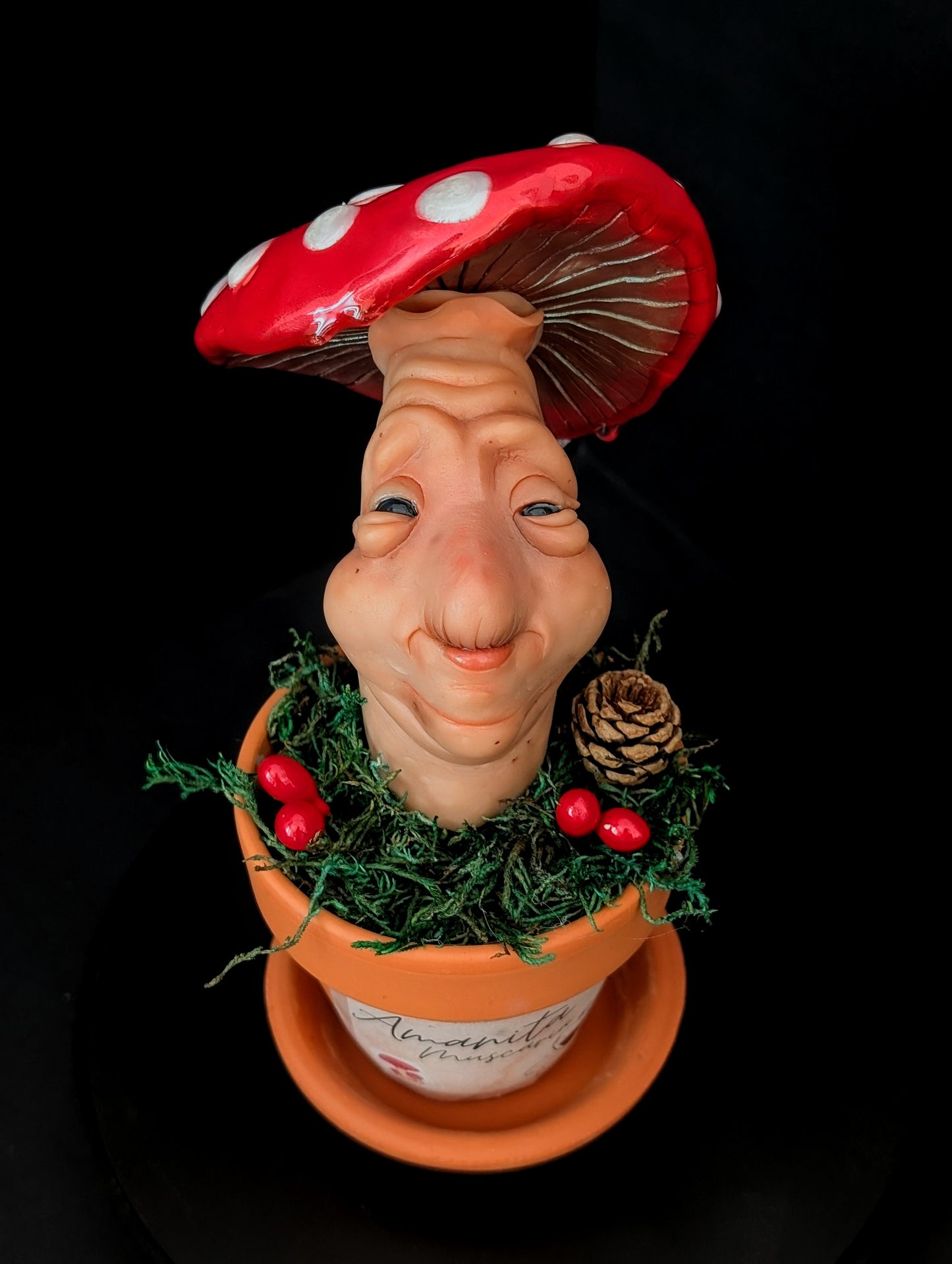 Amanita Muscaria